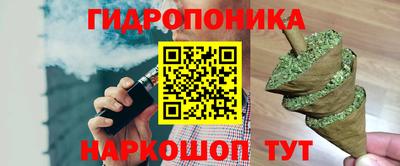 твердый Будённовск