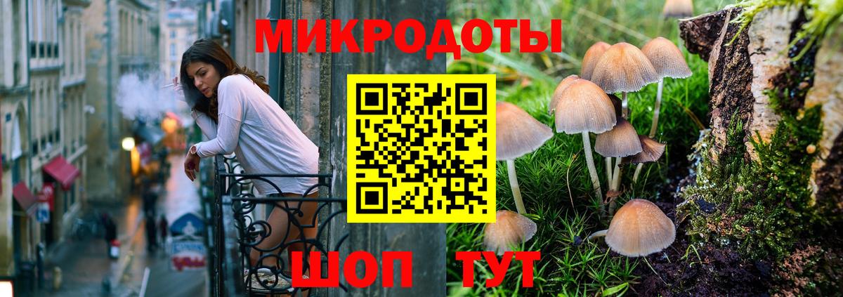 Псилоцибиновые грибы мухоморы Санкт-Петербург