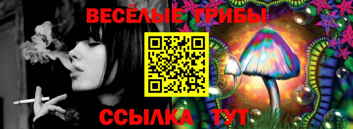 Псилоцибиновые грибы прущие грибы  Галлюциногенные грибы прущие грибы  Вход с VPN  Санкт-Петербург 